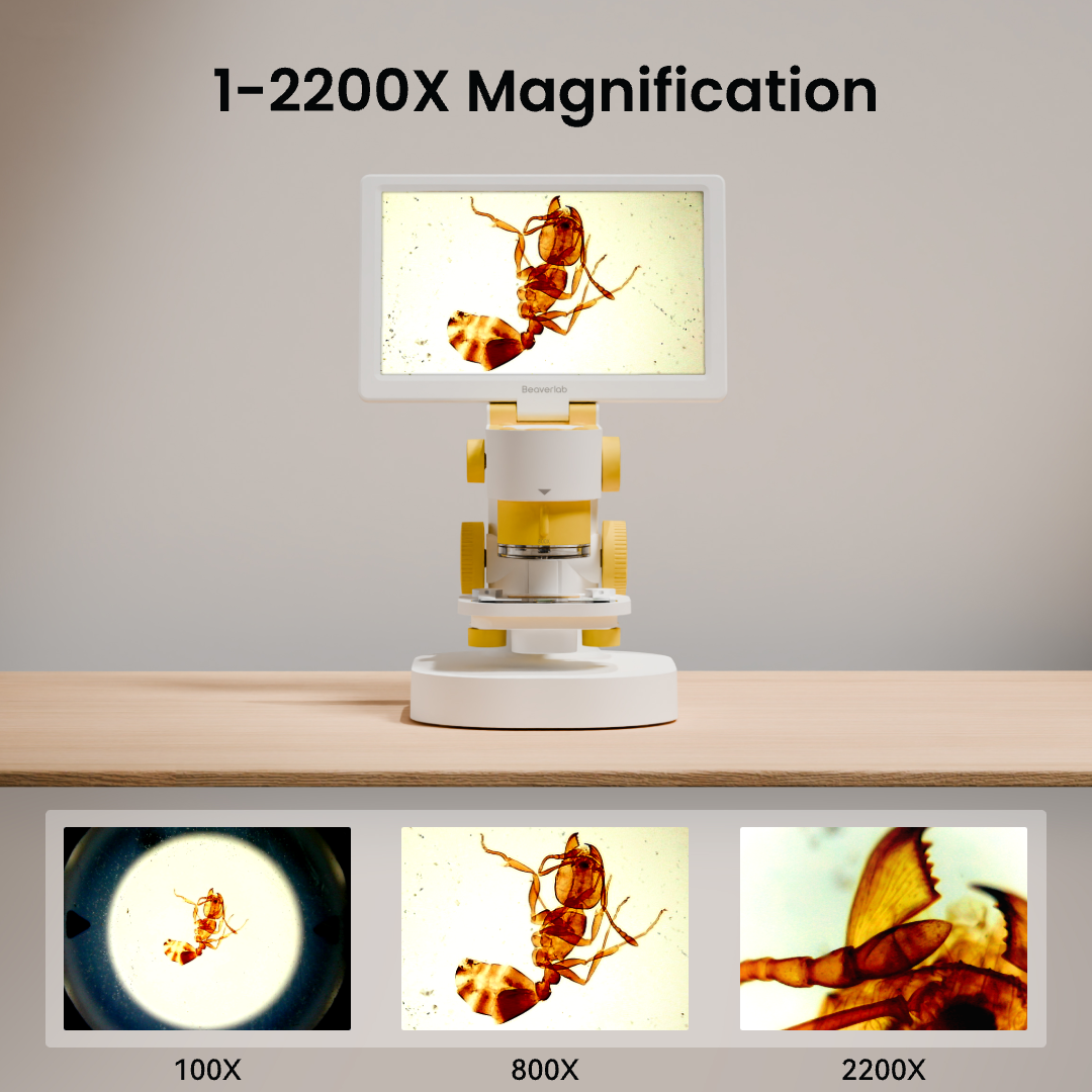 Darwin MX Pro - Experience Microscopy Like Never Before