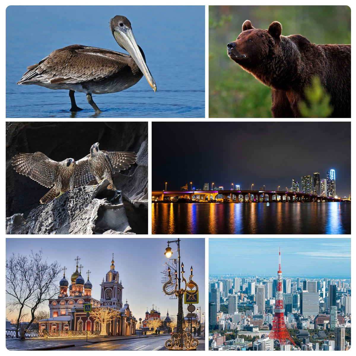 Finder TW1 &amp; TW1 Pro – Discover the Stars Anywhere