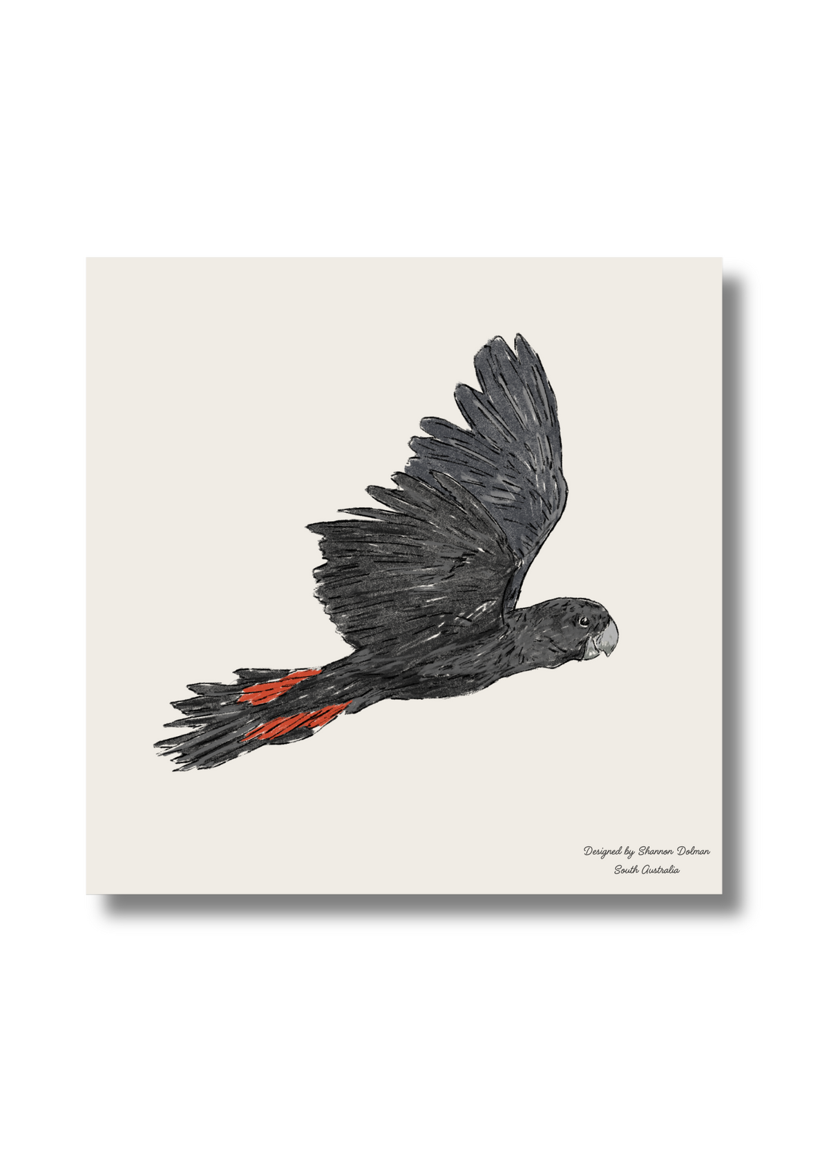 "Georgia" | The Glossy Black Cockatoo EDC Pocket Knife - Koi Knives