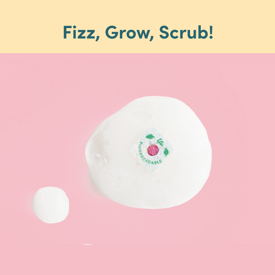 Sponge n&#39; Go™️ - an Eco-Friendly and Biodegradable Cleaning Solution