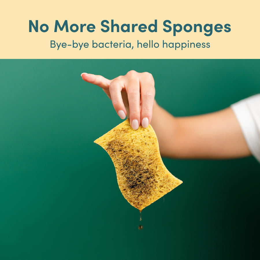 Sponge n&#39; Go™️ - an Eco-Friendly and Biodegradable Cleaning Solution