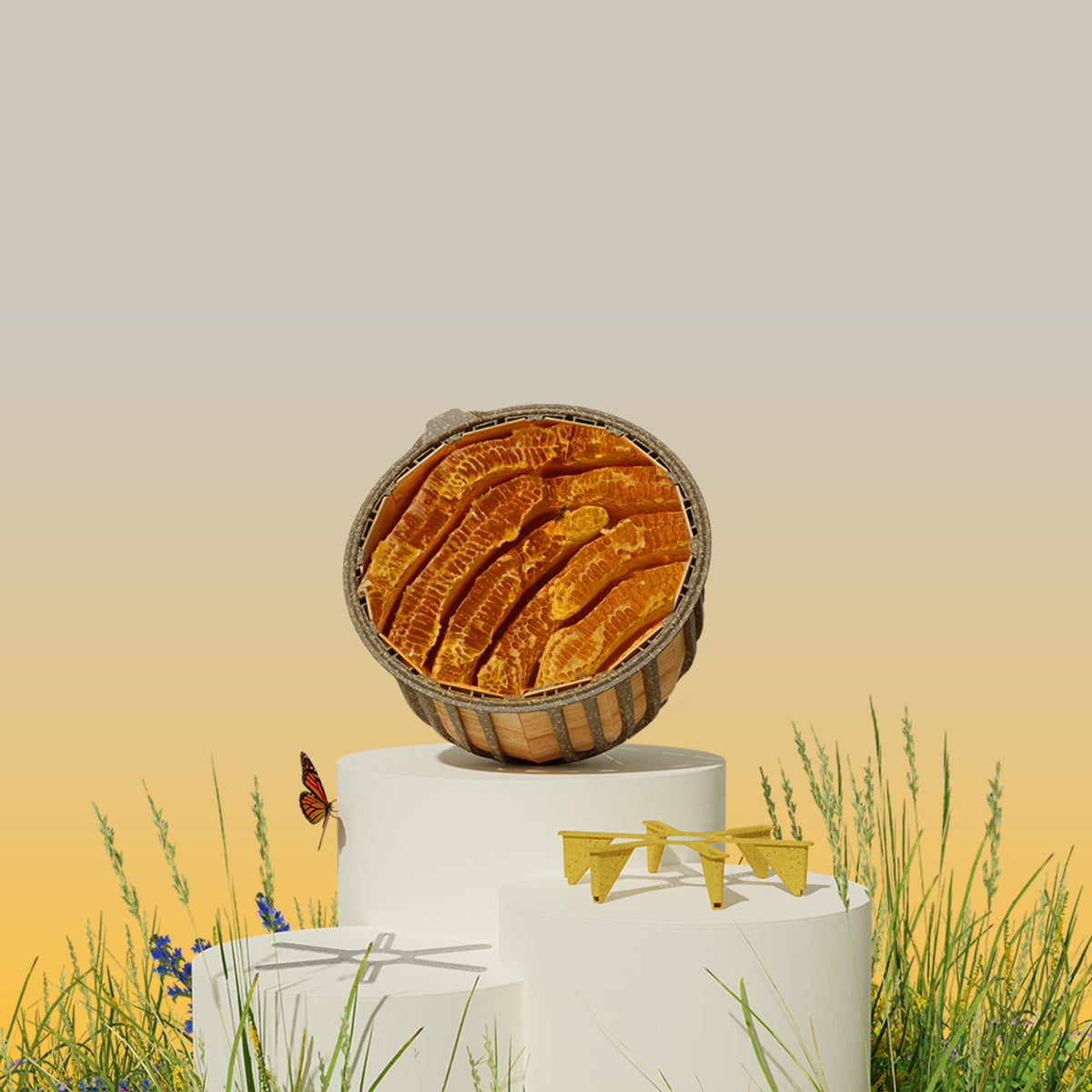 HIIVE - Give Honeybees a Natural Home That Supports Their Survival