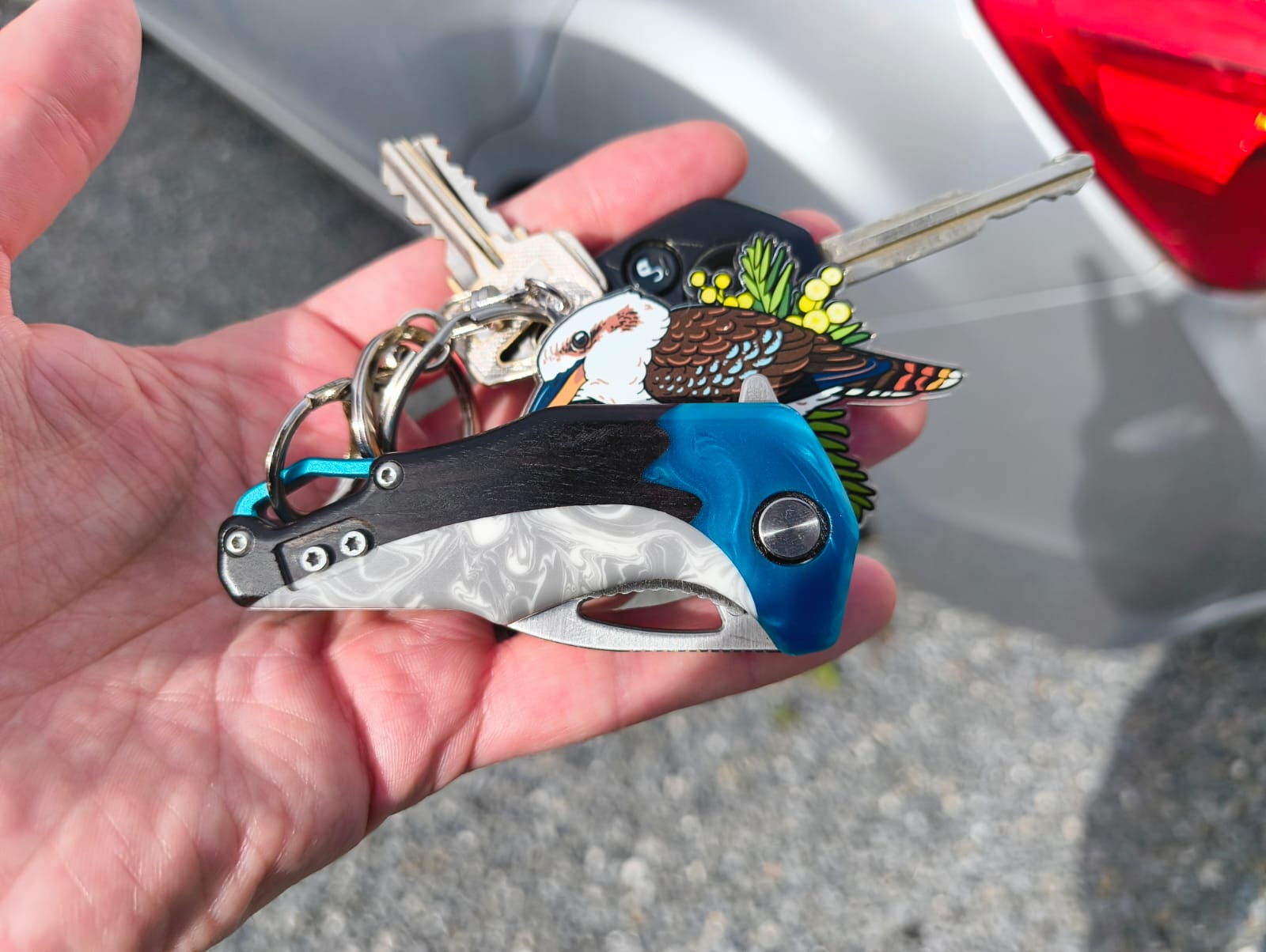 "Bella" | The Blue Wren EDC Pocket Knife