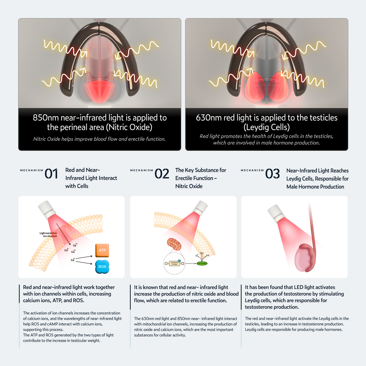 KAISAR - Boost Male Urinary Health Naturally: No Pills, No Procedures