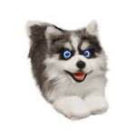 MetaDog – Robotic Pet Dog for Realistic Play and Interaction