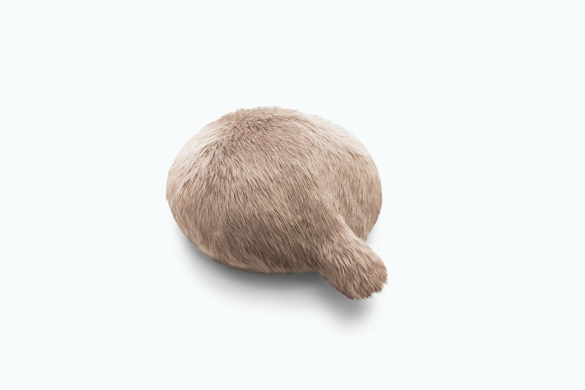 Petit Qoobo - The Calming Robotic Pet That Gently Responds to Your Touch