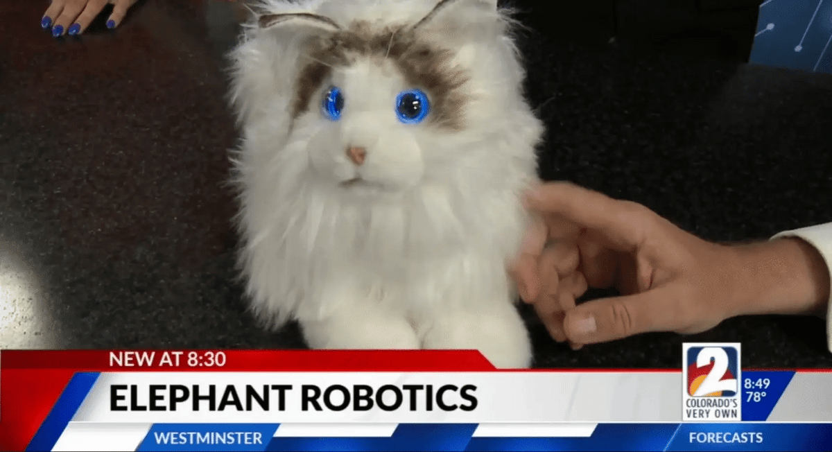 MetaCat – Interactive Smart Pet for Playful Companionship